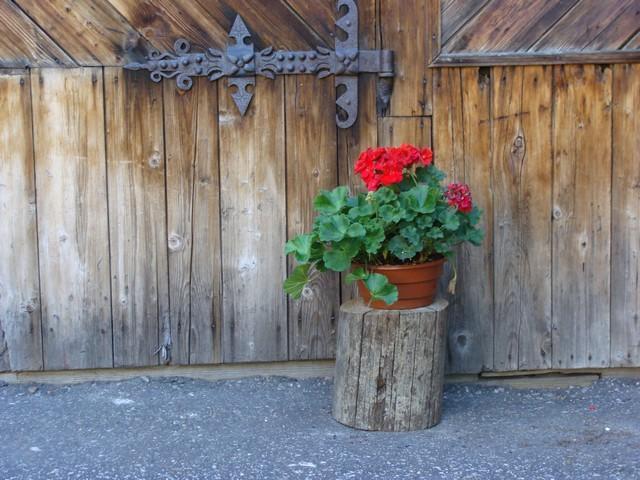 Holiday Home Patchwork Barn Zakopane Phòng bức ảnh