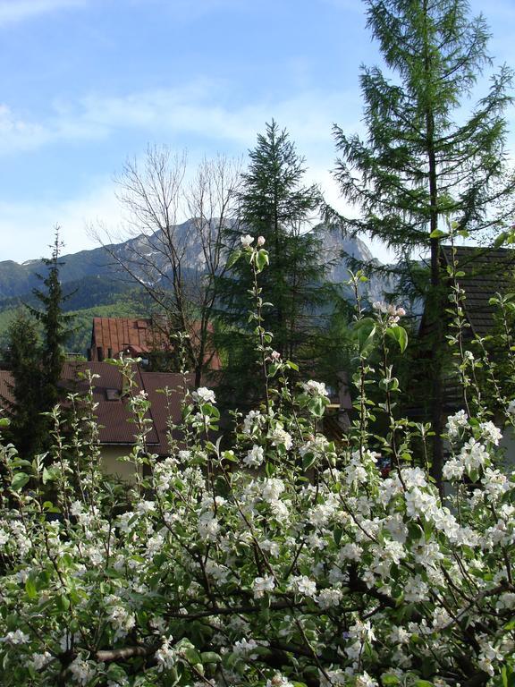 Holiday Home Patchwork Barn Zakopane Ngoại thất bức ảnh